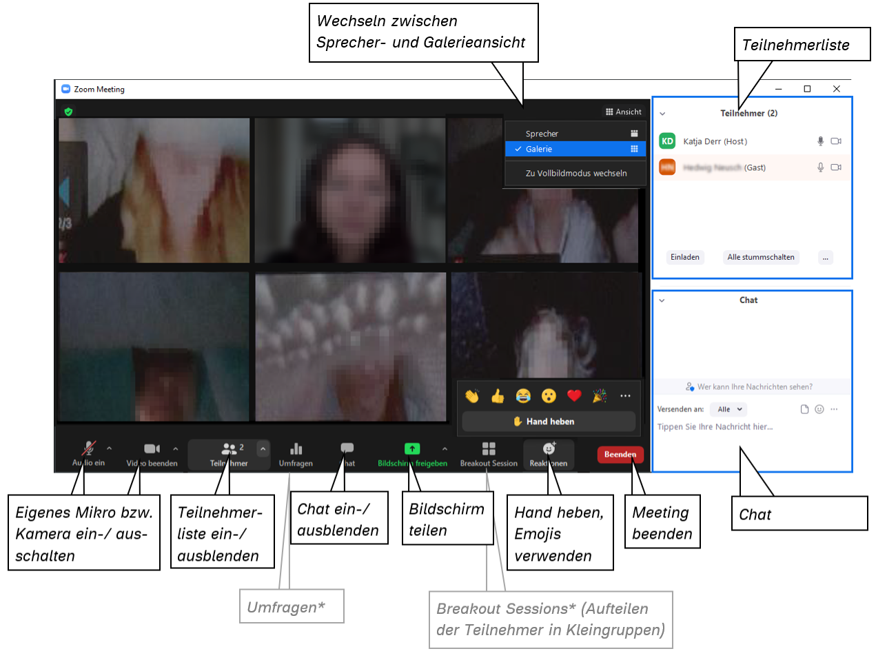 Screenshot Zoom Bedienelemente